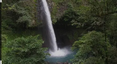a waterfall in the middle of a forest at La Cueva del Perezoso in Ángeles