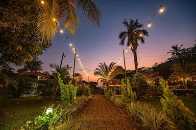 a walkway with lights and palm trees at night at Beach Break Resort & CR Surf Camp in Jacó