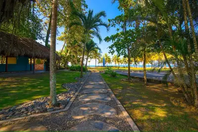 a path through a park with palm trees at Beach Break Resort & CR Surf Camp in Jacó