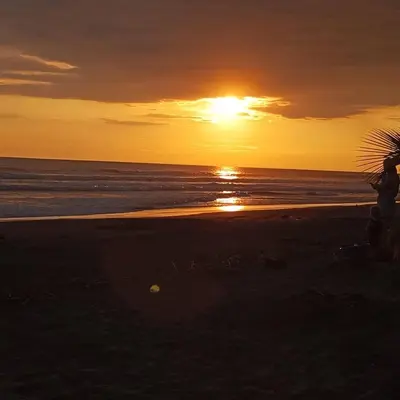 a sunset on the beach with a palm tree at Peace Home in Quepos near Beaches & Mountains in Savegre
