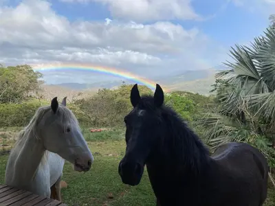 two horses standing in a field with a rainbow in the background at Artistic house in a coffee plantation in Tajo Alto