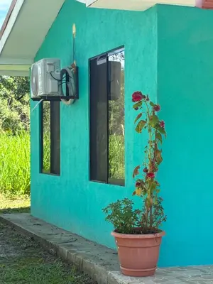 a blue house with a plant in a pot at Hospedaje Oropendola Nest in Bagaces