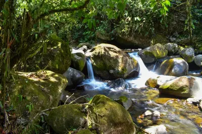 a stream of water with rocks in a forest at Cabaña el Chapuzón montaña y rio, lugar fresco in Cedral