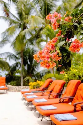 a row of orange lounge chairs with flowers at Ocean Front Palacio Tropical in Puntarenas