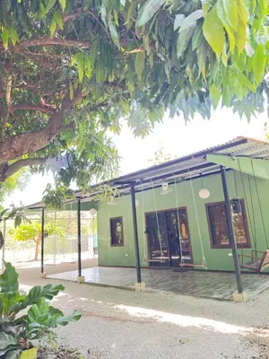 a green building with windows and a tree at Casa Mangos Macondo Lepanto in Lepanto