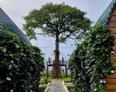 two people standing on a platform under a tree at Arenal 360 Lodge in Fortuna