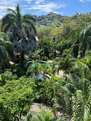 a garden with a pool and palm trees at Serena Suites H3 in Coco