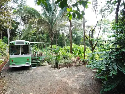 a green bus parked in the middle of a forest at Jungle Bus, 5 min drive to PlayaLinda, 15 to Dominical, Wifi Starlink in Quepos