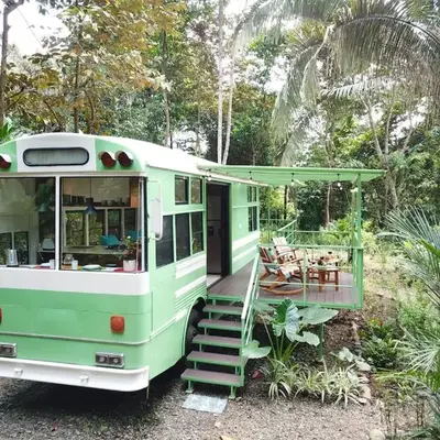 Jungle Bus