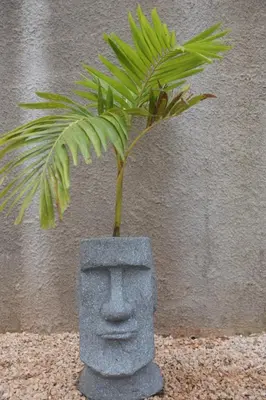 a plant in a vase with a face on it at Nanay's House in Venado