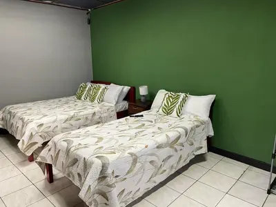 two beds in a room with green walls at la casona rio in Alajuela City