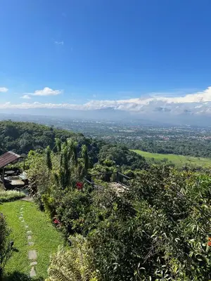 a view of a hill with trees and the ocean at Villas Aracari beautiful upscale homes with amazing views near SJO airport in Pilas