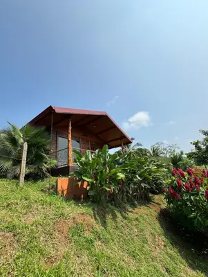 a house on a hill with plants in front of it at Villa Lomas Sarapiquí in Colonia Carvajal
