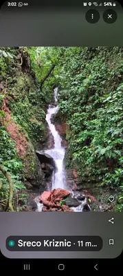 a picture of a stream in a forest at Sunset Farms and Waterfalls! in Tilarán