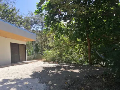 a building with a tree next to a building at Apartamento JOKO in Villarreal