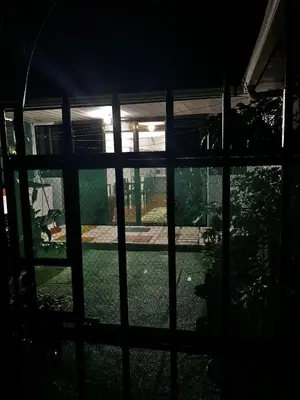 a view of a yard through a window at Yireth Studio in Quepos