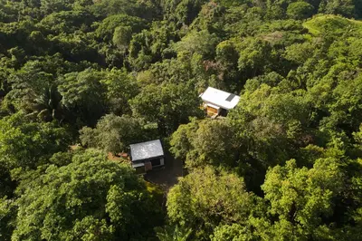 an aerial view of a house in the middle of a forest at Casita Jungle Nest, 5 minutes drive to Playa Linda, 15 to Dominical, Wifi Starlink in Matapalo
