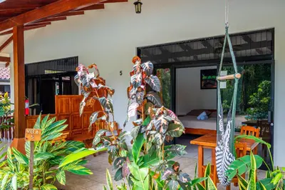 a living room with a bunch of plants at Hotel Colinas del Sol in Atenas