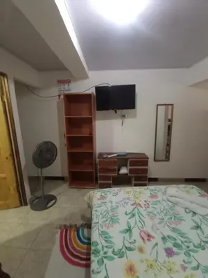 a bedroom with a bed and a dresser and a television at Apartamentos Novoa in San José