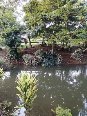 a pond in the middle of a park with trees at Cabana Castaña in Marsella
