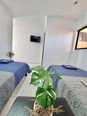 a room with two beds and a potted plant at Global House Apartamento 2 in Alajuela City
