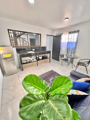 a living room with a large green plant in the middle at Global House Apartamento 2 in Alajuela City