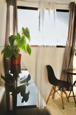 a plant sitting on a table next to a window at Global House Apartamento 2 in Alajuela City