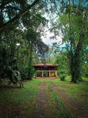 a house in the middle of a forest at Casa corazón verde in Jiménez