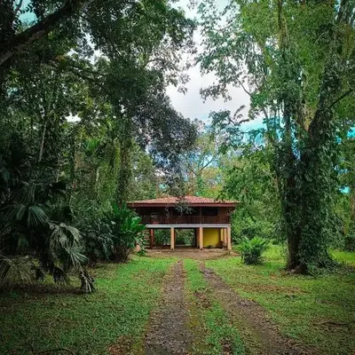 Casa corazón verde