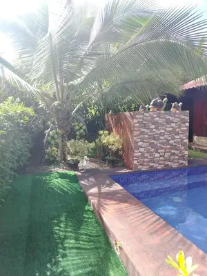 a palm tree sitting next to a swimming pool at Villa Guayacanes Forest in Chachagua