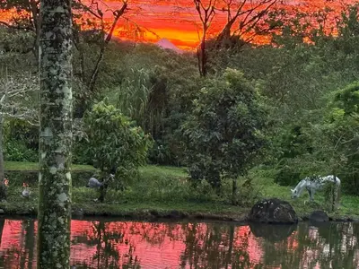 a painting of horses by a lake with a sunset at Cabaña del Lago in Marsella