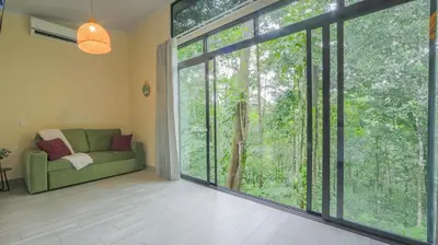 a living room with a green couch and a large window at Cabana Nicolia in San Francisco