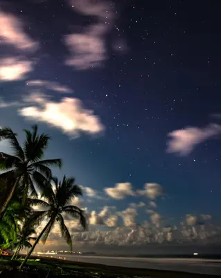 a starry night with palm trees on the beach at Hotel Clandestino beach resort in Parrita
