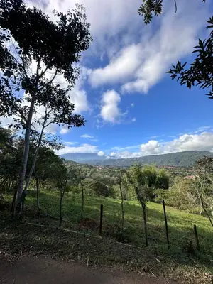 a view of a field with trees and a fence at Eco-Bamboo Cottages in Turrialba