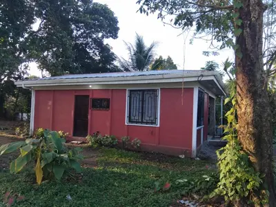 a red house with a tree in front of it at Monkey Beach House in Tortuguero