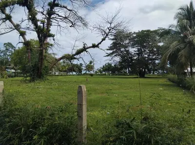 a wooden fence in a field with trees and grass at Monkey Beach House in Tortuguero