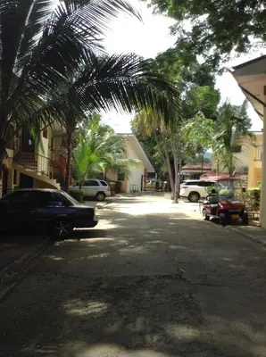 a street with palm trees and cars parked on the street at CocoMarindo in Coco