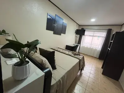 a room with a bed and a plant on a table at HOTEL DEL RiO in Liberia