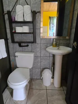 a bathroom with a toilet and a sink and a mirror at Rusticas Dani in Tanque