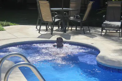a child swimming in a swimming pool in a yard at Club Del Cielo Unit 1 in Jacó