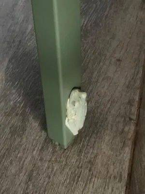 a green pillar with a piece of paper on the floor at Finca flo in Carara