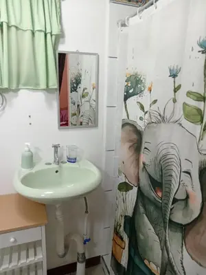 a bathroom with a sink and an elephant shower curtain at Bowen apartamento in Quepos