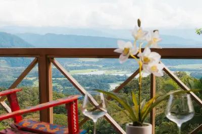 a flower in a vase on a balcony with a view at Glamping Renacer Vistas Turrialba, Paris in Turrialba
