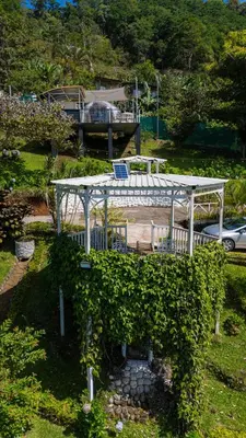 a white bench covered in ivy in a park at Glamping Renacer Vistas Turrialba, Paris in Turrialba