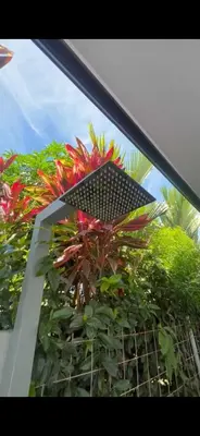a window with a bunch of flowers and plants at CASA SERENITY , brand new house, walk 2 beach, private pool, wifi, PURA VIDA!!!! in Uvita