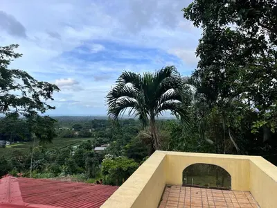 a view of a palm tree from a house at House view of the sunrise, 4 rooms in San Gerardo