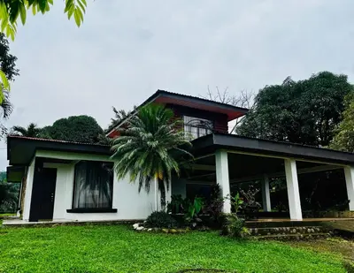a house with a palm tree in front of it at House view of the sunrise, 4 rooms in San Gerardo