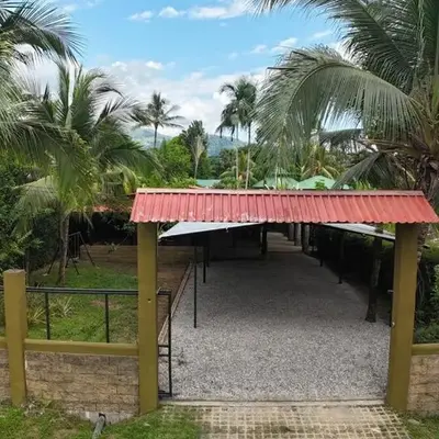 Las Palmeritas de Ojochal