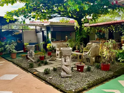 a garden with some plants in a yard at Villas Ela en Bahía Ballena Uvita hermosas habitaciones privadas grandes, piscina, cocina, jacuzzi, aire acondicionado, tv, baño privado, parqueo gratis y terraza in Uvita