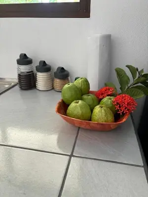 a bowl of green limes on a counter with a flower at Casa Celeste Río Grande in Paquera